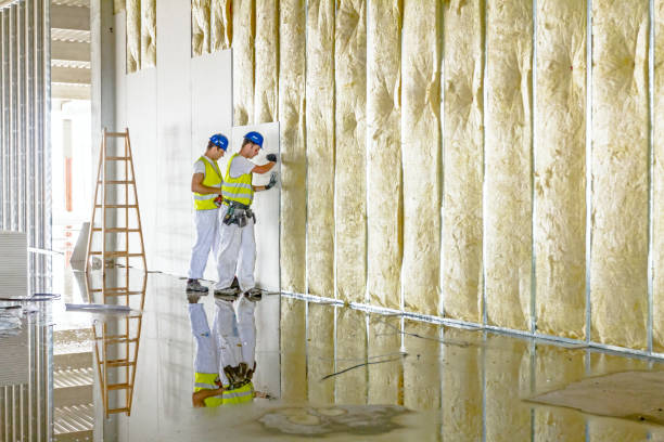 Best Types of Insulation in Reliez Valley, CA